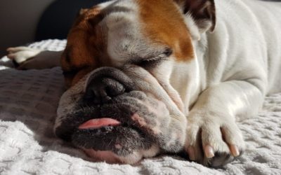 13 Bedtime Rituals For Better Sleep